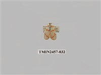 藏品(二斑叉紋苔蛾)的圖片